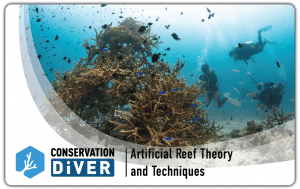 Artificial Reef