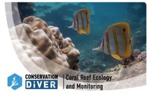 Coral Reef Ecology and Monitoring