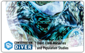 Giant Clams