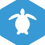 08-turtle