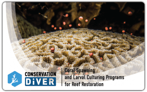 Spawning and Larval Culturing