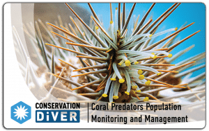 Coral Predators_PRINT_dropshadow