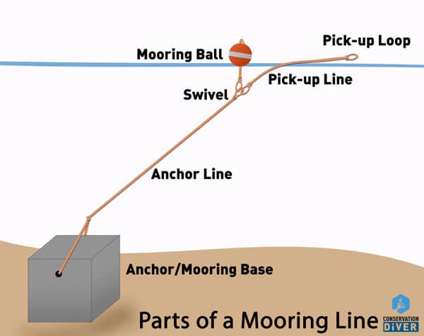 parts of a mooring line
