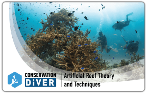 Artificial Reef