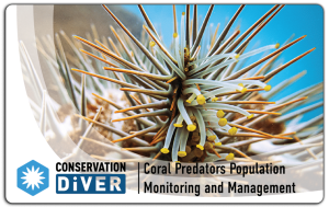 coral predators