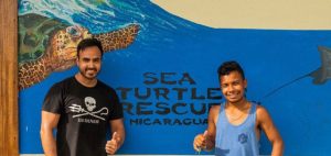 sea turtle rescue