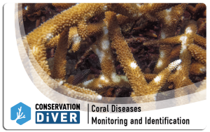 coral disease