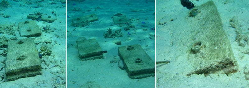 Artificial Reef built by Volunteers - Madagascar Research