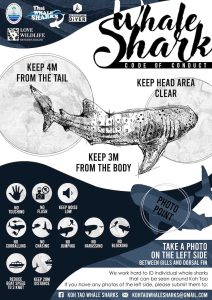 Thailand's Whale shark code of conduct