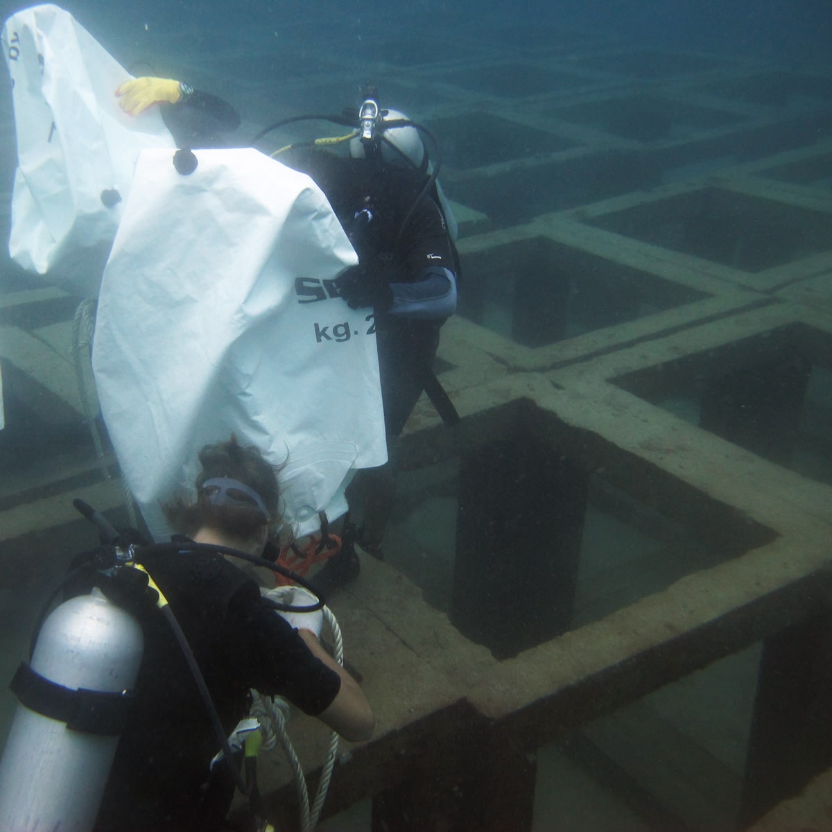 Artificial Reef Cubes